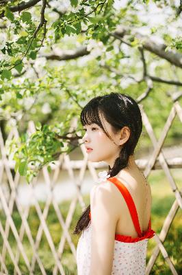 怪奇物语第一季在线观看